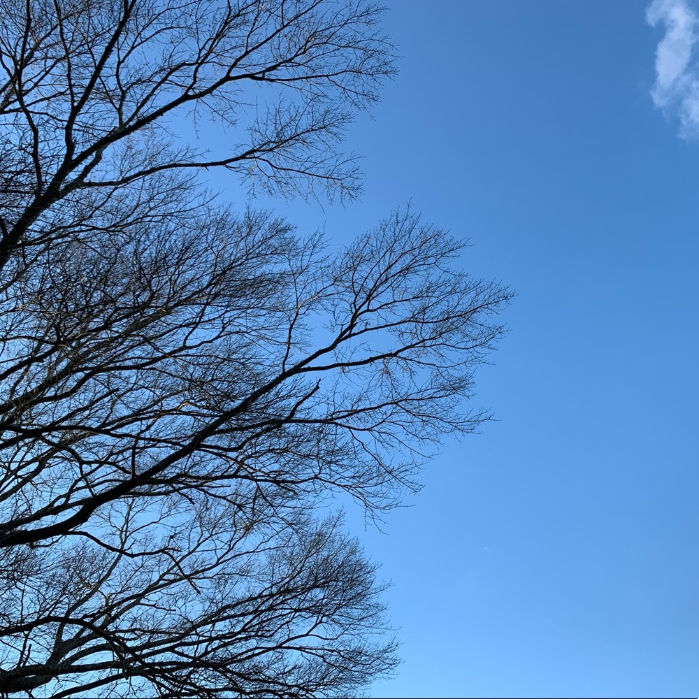 Meet your Posher, Kacie